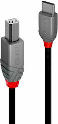 Lindy USB 2.0 USB-C male - USB-B 3m (36943)