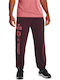 Under Armour Project Rock Heavyweight Men's Sweatpants with Rubber Burgundy