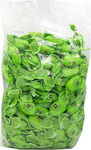 Tulip Candies with Flavor Eucalyptus 1pcs 500gr