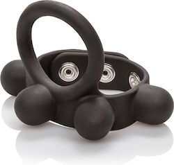 Calexotics Cock Ring Schwanz & Hoden Schwarz