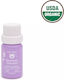 Baby Brezza Sweetest Dream Aromatic Oil Lavender