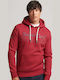 Sweatshirt with Hood Burgundy
