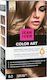Jean Iver Color Art Hair Dye N.8.0 Light Blonde...