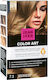 Jean Iver Color Art Hair Dye N.7.3 Blonde Mediu...