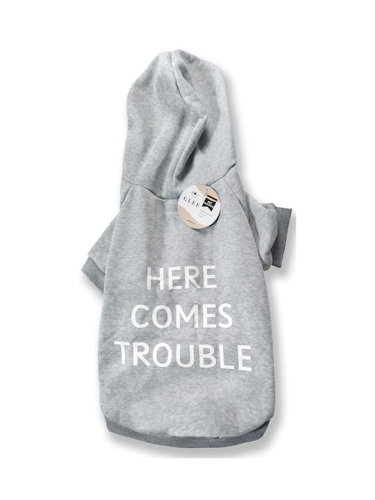 Glee Here Comes Trouble Суитшърти на куче в Сив цвят XL 45см.