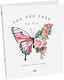 Next Ντοσιέ με 2 Κρίκους 4/26 για Χαρτί Β5 Πολύχρωμο Butterfly 4τμχ