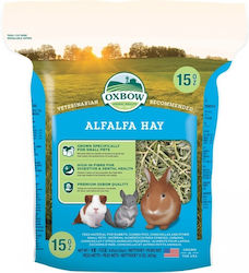 Oxbow Iarbă artificială pentru Porc indian / Iepure / Hamster Alfalfa Hay 1.13kg OX350609