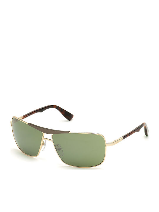 Web Men's Sunglasses with Gold Metal Frame and ...