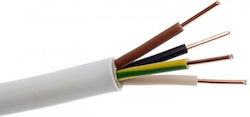 Καλώδιο Ρεύματος με Διατομή 2x1mm² Λευκό 1m H05VV-F Καλώδιο Ρεύματος με Διατομή 2x1mm² Λευκό 1m H05VV-F