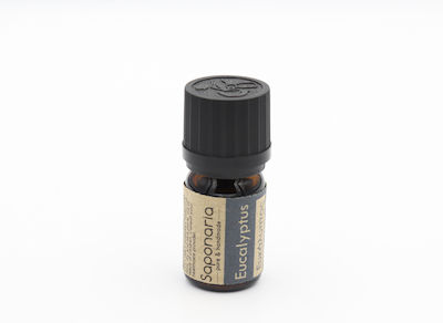 Saponaria Organic Essential Oil Eucalyptus 5ml