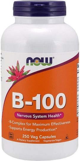 Now Foods B-100 Vitamin for Nervous System Health 250 veg. caps
