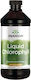 Swanson Liquid Chlorophyll 100mg 473ml