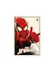 Grupo Erik Afiș Spiderman 61x91.5cm
