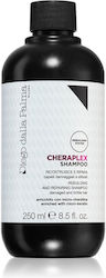 Diego Dalla Palma Shampoo 250ml Diego Dalla Palma Shampoo 250ml