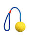 Trixie Rope Топка Игра Куче 30εκ. 1бр (Различни цветове)