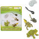 Safari Ltd Κύκλος Ζωής ενός Βατράχου STEM Educational Game Knowledge for 4+ Years Old