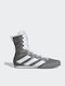 adidas Box Hog 4 Boxschuhe Grau