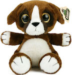 Plush Dog 30 cm