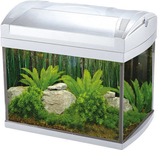 Boyu Fisch-Aquarium mit Kapazität von 20Es mit Umwälzpumpe und 54x32x35cm Weiß