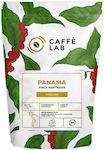 Cascara Caffè Lab Panama Finca Hartmann 100g