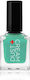 Dust+Cream Classic Glossy Βερνίκι Νυχιών 018 Ca...