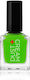 Dust+Cream Classic Glossy Βερνίκι Νυχιών 021 Νε...