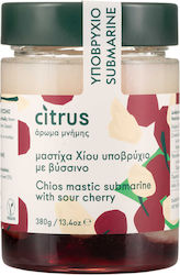 Citrus Υποβρύχιο 380gr
