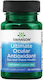 Antioxidant Ocular Suprem 30 Capsule moi