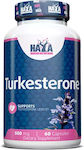 Haya Labs Turkesterone 500mg Συμπλήρωμα για την Υγεία των Αρθρώσεων 60 κάψουλες