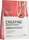 OstroVit Creatine Monohydrate Watermelon 300gr