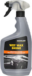 Chamaleon Spray Wachsen / Schutz für Kunststoffe für den Außenbereich Wet Wax Shine 650ml 49762