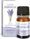 Panacea Ulei Esențial Lavanda 10ml