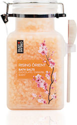 Dust+Cream Rising Orient