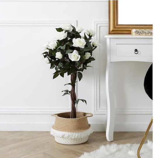 Τριαντάφυλλο σε Γλάστρα The Home Deco Factory Τριαντάφυλλο σε Γλάστρα The Home Deco Factory