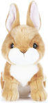 Eco Earth Rabbit Plush 25cm