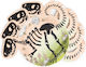 Great Pretenders Dinosaur Plate for Party 8 Pieces