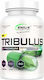 Genius Nutrition Tribulus 800мг Добавка за Либидо & Подсилване на Тестостерона 90 табове