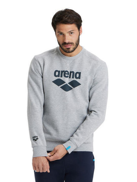 Arena Herren Sweatshirt Gray