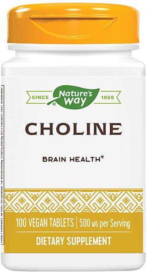 Nature's Way Choline Витамин 500мг 100 Таблетки