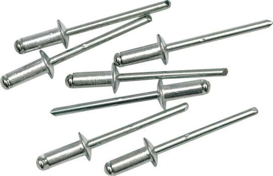 Vorel Πριτσίνια M4x12.7mm 50Stück