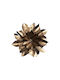 Venus Decorative Wall Decor made of Metallic 35x35cm 1pcs