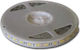 Giako Waterproof LED Strip 12V Blue Light 1m Type SMD5050