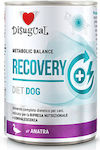 Disugual Metabolic Balance Recovery Nassfutter mit Ente 1 x 400g