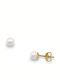 Drandakis Earrings made of Gold 14K with Stones & Pearls
