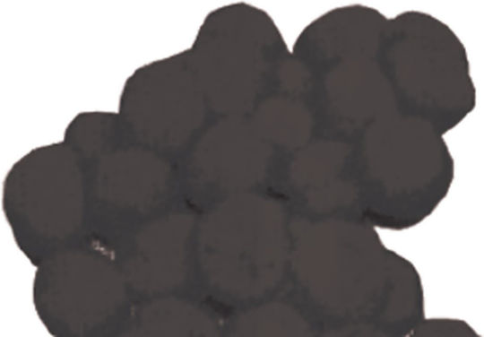 Next Pom Pom Craft Black with Diameter 10mm Set of 100pcs