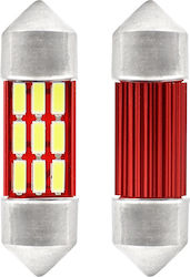 AMiO Крушки за автомобил C5W 31mm Canbus LED 56...