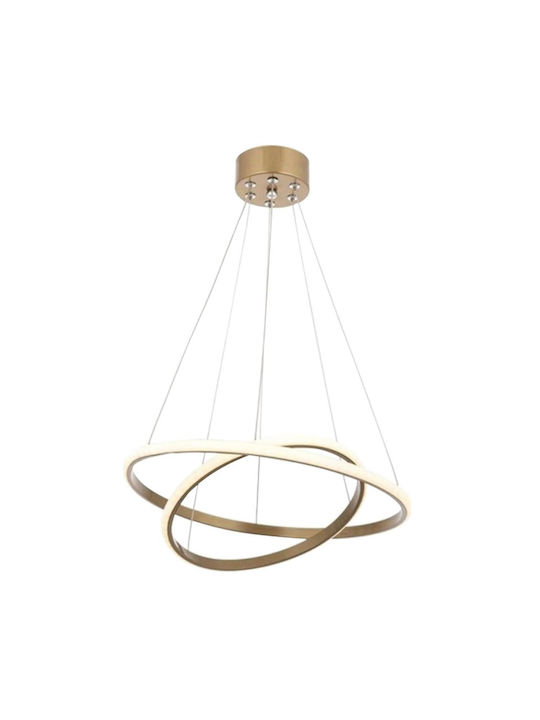 Pakketo PWL-1163 Pendant Light LED Gold