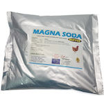 MAGNA SODA NAHRUNGSERGÄNZUNG 3kg