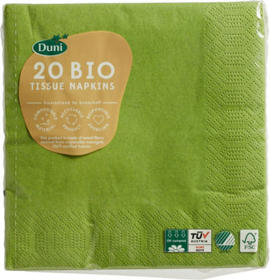 Organic paper towels Green, 20 pieces, Duni 11180