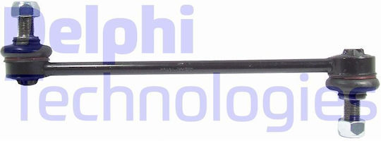 Delphi Μπαράκι Ζαμφόρ Αυτοκινήτου για Hyundai i30 2007 TC2152